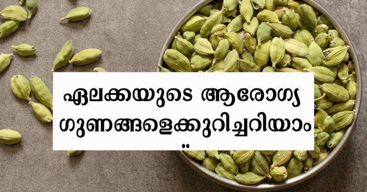 ഏലക്കയുടെ ആരോഗ്യഗുണങ്ങളെക്കുറിച്ചറിയാം