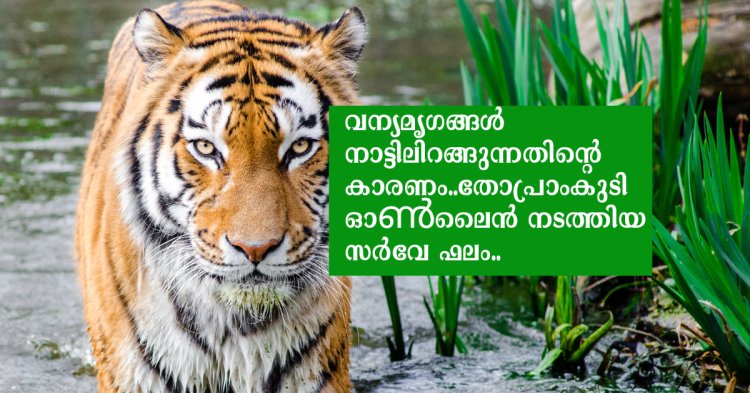 വന്യമൃഗങ്ങൾ നാട്ടിലിറങ്ങുന്നതിന്റെ കാരണം..തോപ്രാംകുടി ഓൺലൈൻ നടത്തിയ സർവേ ഫലം..